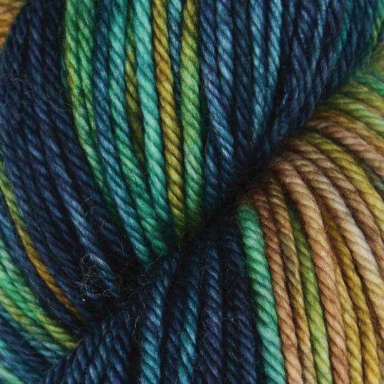 Symfonie Bella Worsted Merino Wool - Riverbank (Variegated)