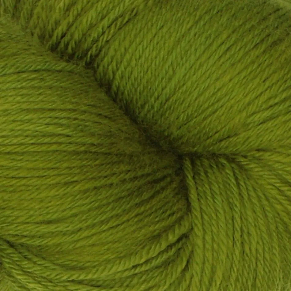 Symfonie Terra - Rain Forest