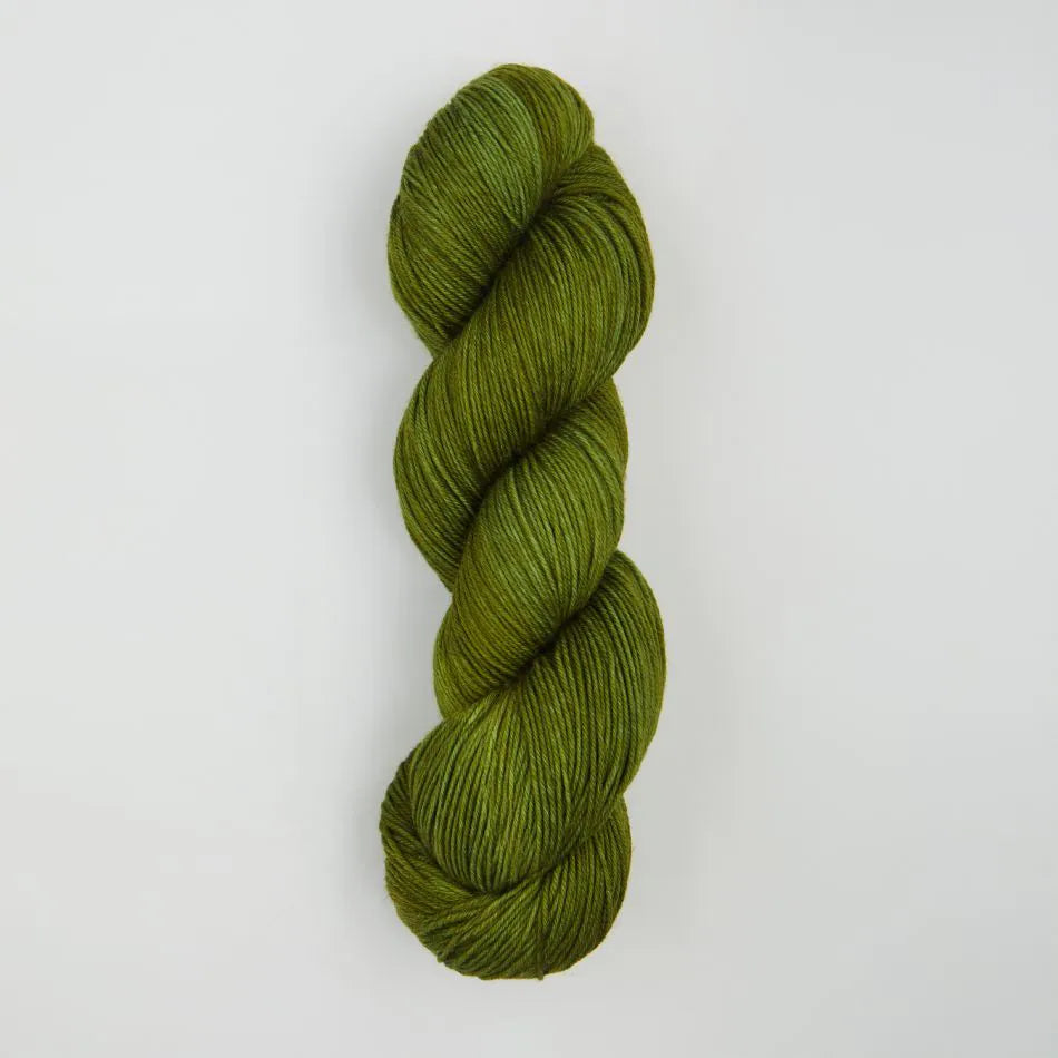 Symfonie Terra - Rain Forest