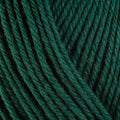 Berroco Ultra Worsted Superwash Wool Yarn - Arbor
